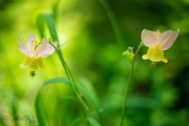 Tract 3A Upper Chief Joseph Trail, Big Sky, MT 59716 - photo 3