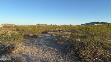 IMG_1352