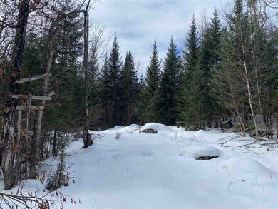 203 W Forest Lake Rd, Bethlehem, NH 03574 - photo 6