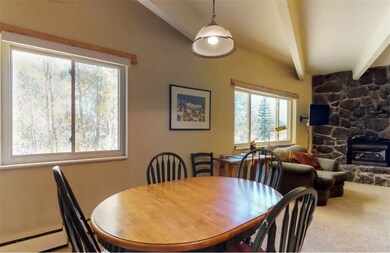 370 E La Bonte St unit 101, Dillon, CO 80435 - photo 6