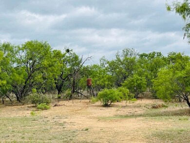 44 County Road 129, Brownwood, TX 76801 - photo 7