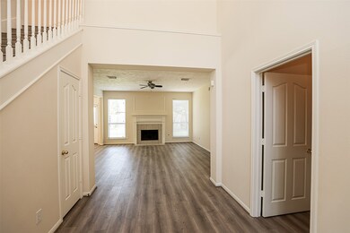 18 Belcarra Place, Spring, TX 77382 - photo 7