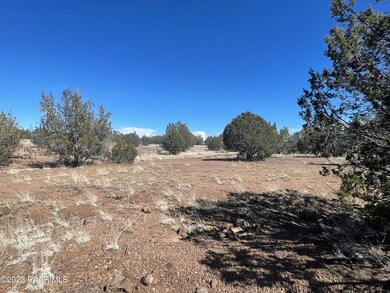37a Juniperwood Ranch, Ash Fork, AZ 86320 - photo 4