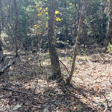 Crestwood Hills Blk 2 Lot 6 pic2