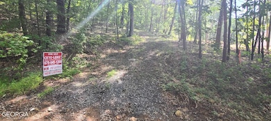 Sign in place next to gravel driveway. Survey mark