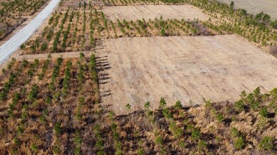 5 S Carolina 6, Cross, SC 29436 - photo 4