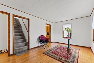 917 Jessie St, Saint Paul, MN 55130 - photo 6