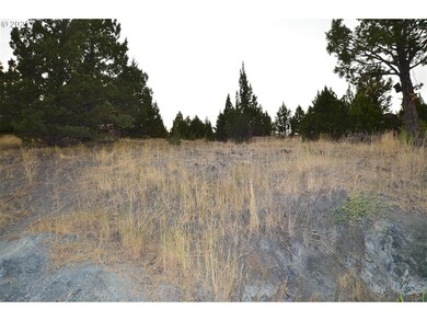 0 Elk View Dr, Canyon City, OR 97820 - photo 4
