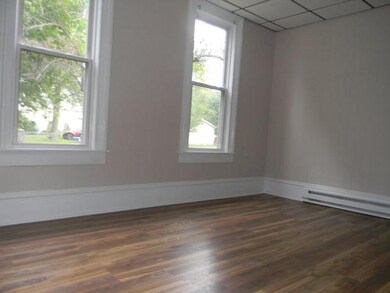 203 S 3rd Ave, Chenoa, IL 61726 - photo 6