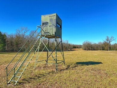 610 Fcr 301, Oakwood, TX 75855 - photo 6