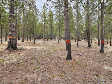 57626 Cultus Ln, Sunriver, OR 97707 - photo 7