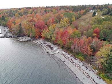 aerial 1