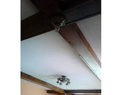 126 Silver St, South Hadley, MA 01075 - photo 6