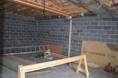 Unfinished Basement