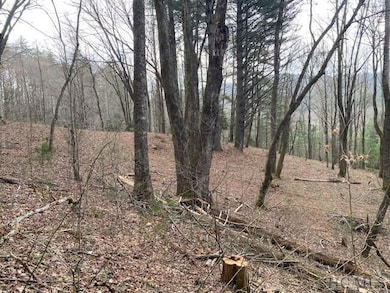 478 Windy Gap Rd, Cullowhee, NC 28723 - photo 5