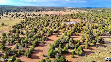 TBD Flake Rd Lots L & P 2 54 Acres --, Aripine, AZ 85933 - photo 5