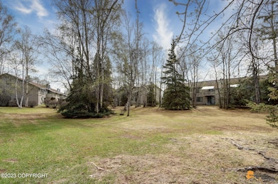 Common lawn & yard area