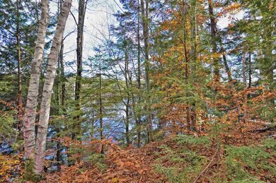 Lot#311 Beard, Grafton, NH 03240 - photo 2