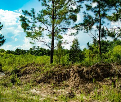 0 Spring Dr unit 1053118, Middleburg, FL 32068 - photo 5