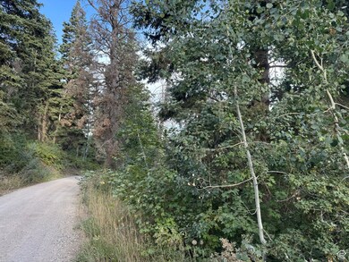 819 N Fork Rd unit 819, Mount Pleasant, UT 84629 - photo 7