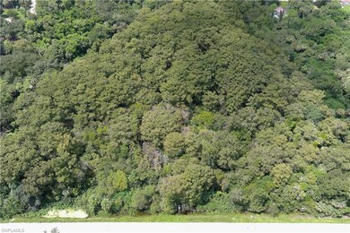 0 Taylor Rd N, Immokalee, FL 34142 - photo 6