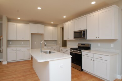 10 Sheffield Way unit 1E, Londonderry, NH 03053 - photo 3