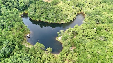 11375 Spring Lake Rd E, Chunchula, AL 36521 - photo 5