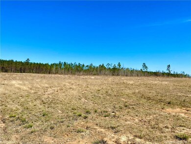 0 Camp Edgewood Rd unit SWL25001616, Dequincy, LA 70633 - photo 7