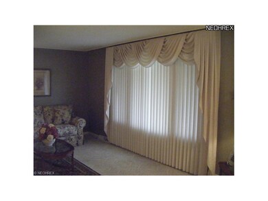 Good Shot of the Large Picture Window.  All Window