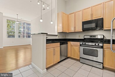 Silverton Condominiums, Silver Spring, MD 20910 - photo 5