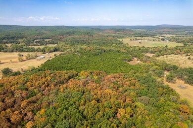 000 Iron Cr 20a, Belleview, MO 63020 - photo 5