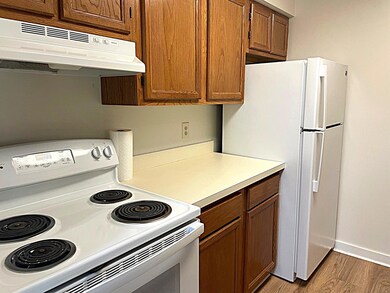 3001 Fernwood Ave unit 202, Ann Arbor, MI 48108 - photo 6