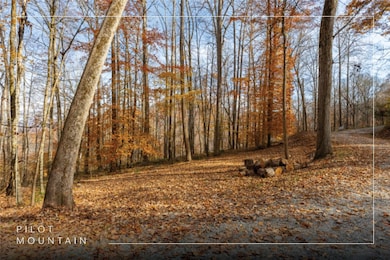 107 Vistawilla Dr, Glenville, NC 28736 - photo 2