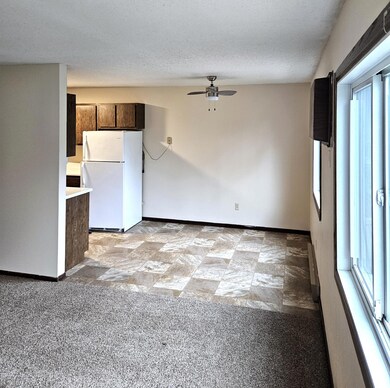 101 4th St E unit 6, Brandon, MN 56315 - photo 4