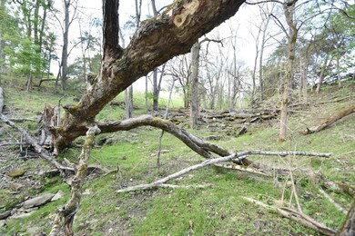 609 Central Pike unit 2, Harrodsburg, KY 40330 - photo 7