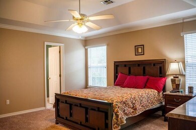 Perfect size master suite with tray ceiling!
