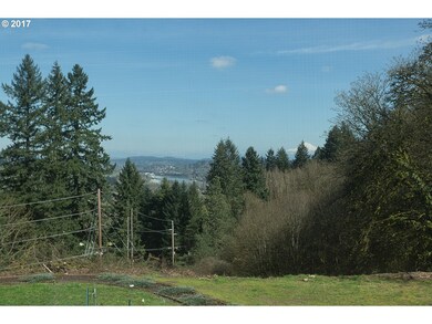 25320 SW Petes Mountain Rd, West Linn, OR 97068 - photo 6