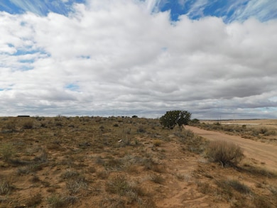 6632 Hamilton Rd NE, Rio Rancho, NM 87144 - photo 2