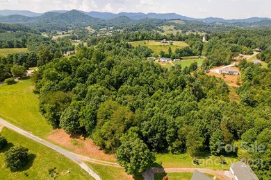 99999 May Hill Place unit B, Leicester, NC 28748 - photo 3