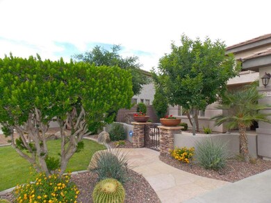 Front Yard