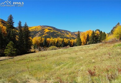 38938 Nf-250, Antonito, CO 81120 - photo 7