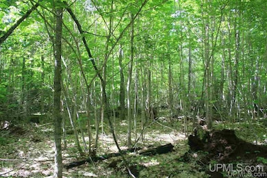 TBD 57 Lakeshore Dr unit 57, Ontonagon, MI 49953 - photo 6