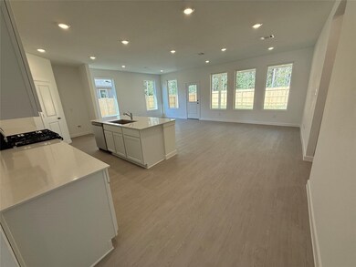 28606 Sun Cactus Dr, Hockley, TX 77447 - photo 6