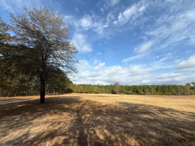 0000 S Carolina 39, Williston, SC 29853 - photo 3