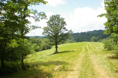 1 Alhambra Rd unit 3, Mount Olivet, KY 41064 - photo 4