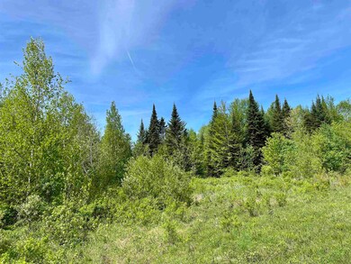 00 Station Rd, Sutton, VT 05867 - photo 3