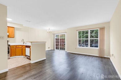 267 Shady Oak Ct, Piscataway, NJ 08854 - photo 4