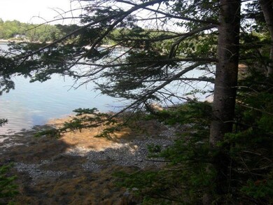 Shoreline at nearly low tide.
