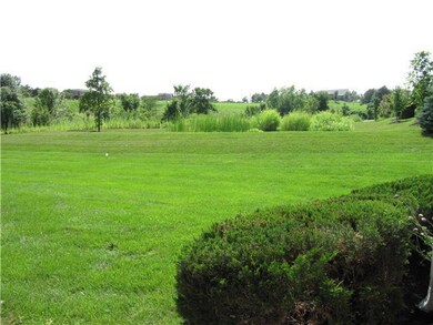 Back yard view.