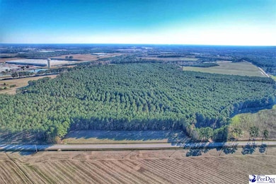 TBD W Highway 34, Dillon, SC 29536 - photo 2